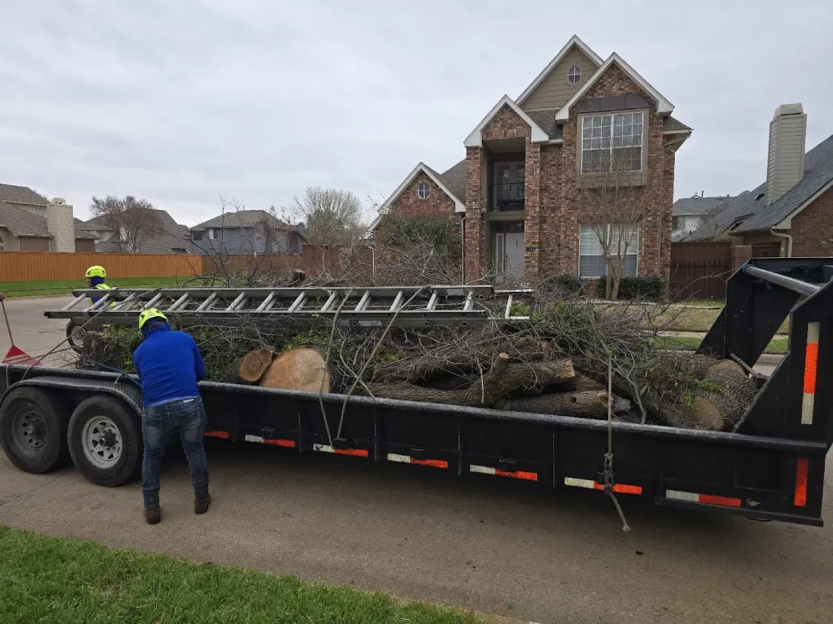Expert Crown Reduction with proper safety equipment in Kansas City